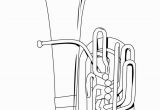 Free Printable Coloring Pages Of Musical Instruments 6 Best Musical Instruments Coloring Pages for Kids