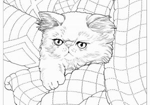 Free Printable Coloring Pages Of Quilts Bluecat Gallery Adult Coloring Books by Jason Hamilton