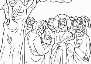 Free Printable Coloring Pages Of Zacchaeus Zacchaeus Coloring Page Printable Coloring Home