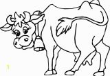 Free Printable Cow Coloring Pages Cow Coloring