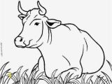 Free Printable Cow Coloring Pages Cow Coloring Sheets Free Printable Cow Coloring Pages for