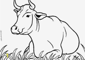 Free Printable Cow Coloring Pages Cow Coloring Sheets Free Printable Cow Coloring Pages for