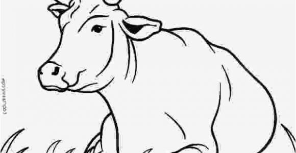 Free Printable Cow Coloring Pages Cow Coloring Sheets Free Printable Cow Coloring Pages for