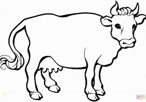 Free Printable Cow Coloring Pages Mewarnai Gambar Sapi 1