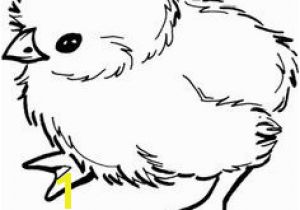 Free Printable Easter Baby Chick Coloring Pages 82 Best Baby Chicks Images In 2018