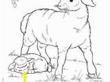 Free Printable Easter Lamb Coloring Pages 137 Best Coloring Easter & Halloween Images