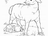Free Printable Easter Lamb Coloring Pages Farm Animal Coloring Page Coloring Pages Pinterest