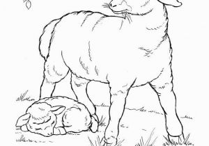 Free Printable Easter Lamb Coloring Pages Farm Animal Coloring Page Coloring Pages Pinterest