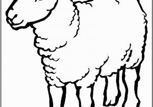 Free Printable Easter Lamb Coloring Pages Sheep Coloring Page Ideas