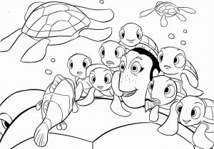 Free Printable Finding Nemo Coloring Pages Finding Nemo Squirt Drawing at Getdrawings