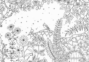 Free Printable Garden Coloring Pages Pin On there S A Template for that