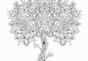 Free Printable Garden Coloring Pages Resultado De Imagen De ‫ÙØªØ¨ ØªÙÙÙÙ ÙÙÙØ¨Ø§Ø± Pdf‬‎ with Images