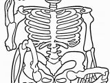 Free Printable Halloween Skeleton Coloring Pages Free Printable Skeleton Coloring Pages for Kids