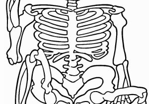 Free Printable Halloween Skeleton Coloring Pages Free Printable Skeleton Coloring Pages for Kids