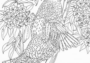 Free Printable Hard Coloring Pages for Adults Get This Difficult Adult Coloring Pages to Print Out