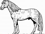 Free Printable Horse Coloring Pages for Adults Advanced Beautiful Free Printable Horse Coloring Pages