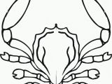 Free Printable Horseshoe Coloring Pages Crab Coloring Pages Crab Coloring Pages Free Printable Crab Coloring