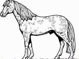 Free Printable Horseshoe Coloring Pages Printable Horse Coloring Pages Beautiful Graphy Horse Coloring