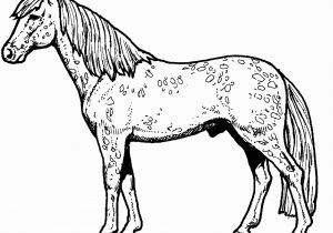Free Printable Horseshoe Coloring Pages Printable Horse Coloring Pages Beautiful Graphy Horse Coloring