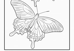 Free Printable Insect Coloring Pages Coloring Pages butterfly Coloring Book Printable Coloring