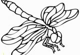 Free Printable Insect Coloring Pages Dragonfly