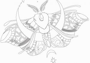 Free Printable Insect Coloring Pages Night butterfly Moth butterflies & Insects Coloring Pages