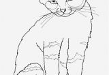 Free Printable Kitty Cat Coloring Pages Free Cat Coloring Pages Beautiful Kitten Color Pages Elegant Kitty