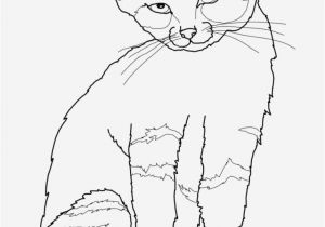 Free Printable Kitty Cat Coloring Pages Free Cat Coloring Pages Beautiful Kitten Color Pages Elegant Kitty