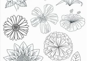 Free Printable Leaf Coloring Pages Pin On Printables