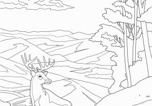 Free Printable National Parks Coloring Pages Shenandoah National Park Coloring Page