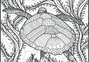 Free Printable Ocean Coloring Pages for Adults Ocean Adult Coloring Pages at Getdrawings