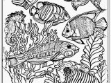 Free Printable Ocean Coloring Pages for Adults Ocean Coloring Pages at Getcolorings