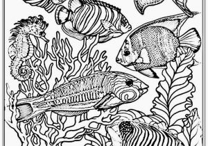 Free Printable Ocean Coloring Pages for Adults Ocean Coloring Pages at Getcolorings