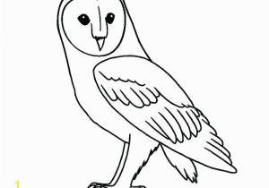 Free Printable Owl Valentine Coloring Pages Cartoon Owl Coloring Pages Color Page Snowy Free Printable Valentine