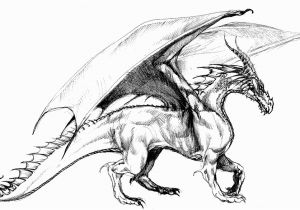 Free Printable Realistic Dragon Coloring Pages Realistic Dragon Coloring Pages for Adults Coloring Home