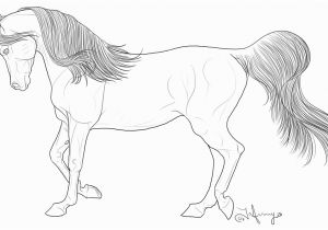 Free Printable Realistic Horse Coloring Pages Coloring Pages Horses Heads Ribbon Print Coloring Home