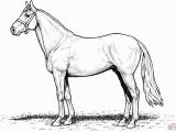 Free Printable Realistic Horse Coloring Pages Draft Horse Coloring Pages at Getcolorings