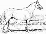 Free Printable Realistic Horse Coloring Pages Free Horse Coloring Pages