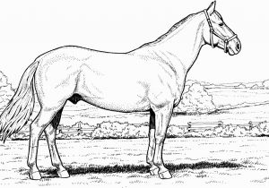 Free Printable Realistic Horse Coloring Pages Free Horse Coloring Pages