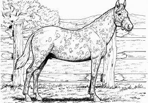 Free Printable Realistic Horse Coloring Pages Free Printable Realistic Horse Coloring Pages Coloring Home