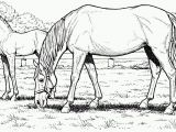 Free Printable Realistic Horse Coloring Pages Free Printable Realistic Horse Coloring Pages Free