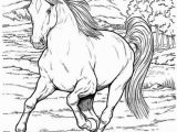 Free Printable Realistic Horse Coloring Pages Free Realistic Wild Horse Coloring Pages to Print