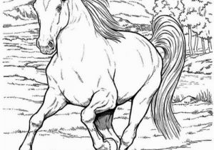 Free Printable Realistic Horse Coloring Pages Free Realistic Wild Horse Coloring Pages to Print