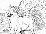 Free Printable Realistic Horse Coloring Pages Horse Coloring Pages for Adults Best Coloring Pages for Kids