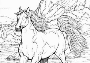 Free Printable Realistic Horse Coloring Pages Horse Coloring Pages for Adults Best Coloring Pages for Kids