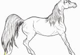 Free Printable Realistic Horse Coloring Pages Realistic Horse Coloring Pages to Print Coloring Home