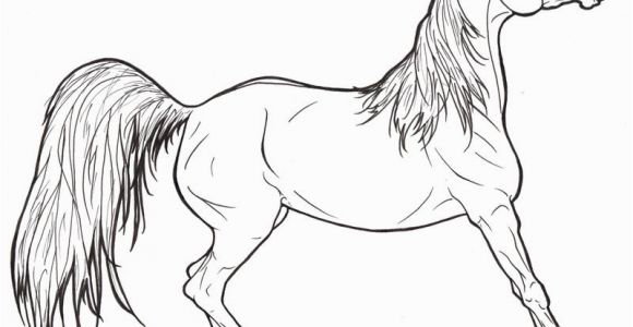 Free Printable Realistic Horse Coloring Pages Realistic Horse Coloring Pages to Print Coloring Home