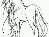 Free Printable Realistic Horse Coloring Pages Realistic Horse Drawing at Getdrawings