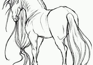 Free Printable Realistic Horse Coloring Pages Realistic Horse Drawing at Getdrawings