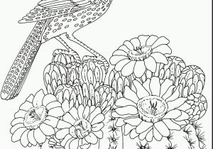 Free Printable Spring Coloring Pages for Adults 36 Marvelous Coloring Page for toddlers